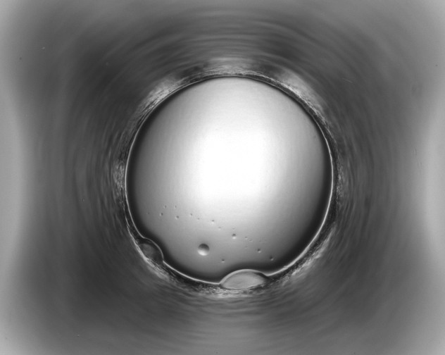 X0000085080849200703191323