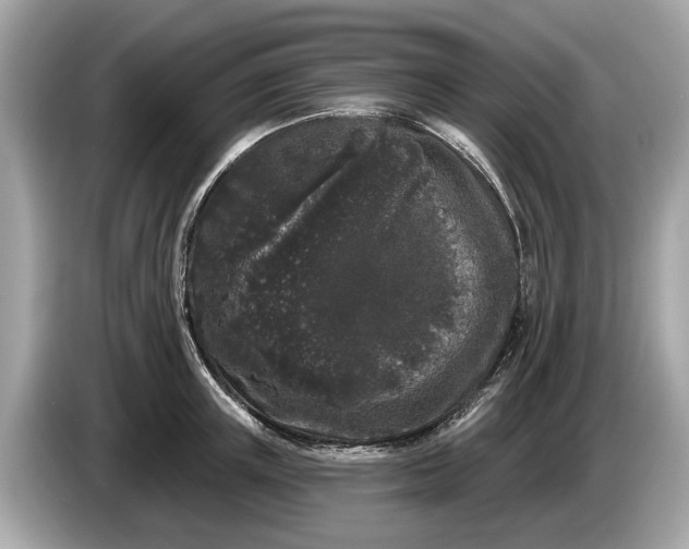 X0000085080851200703191323