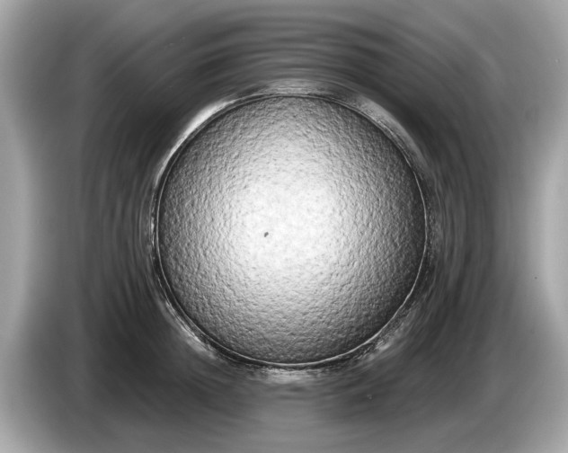 X0000085080852200703191323