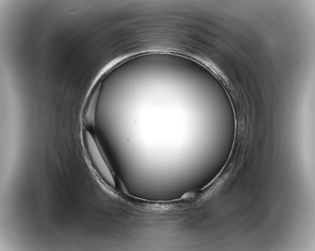 X0000085080854200703191323