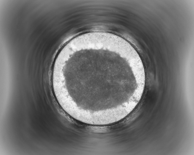 X0000085080856200703191323