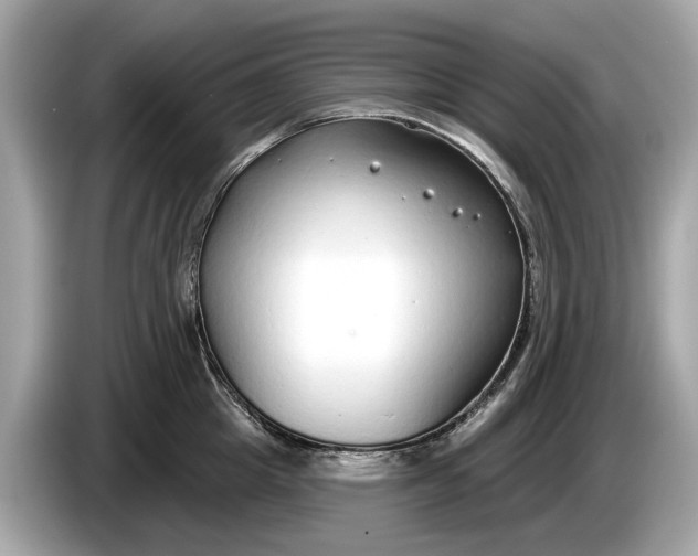 X0000085080857200703191323