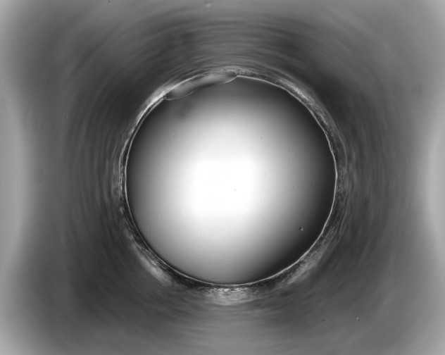 X0000085080858200703191323