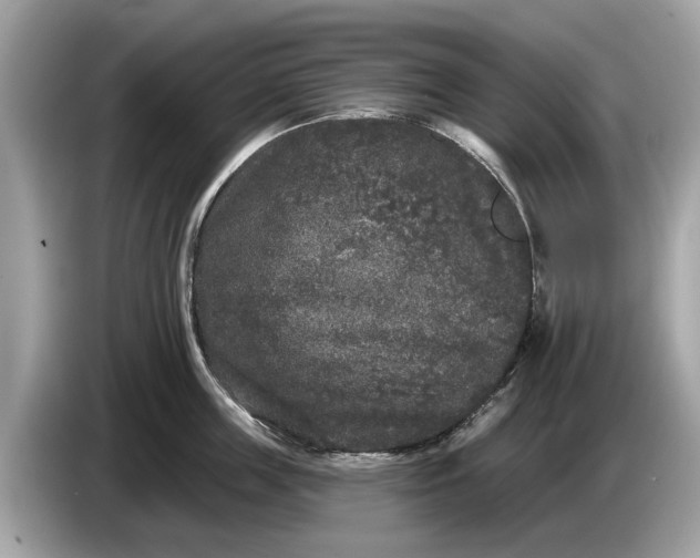 X0000085080859200703191323