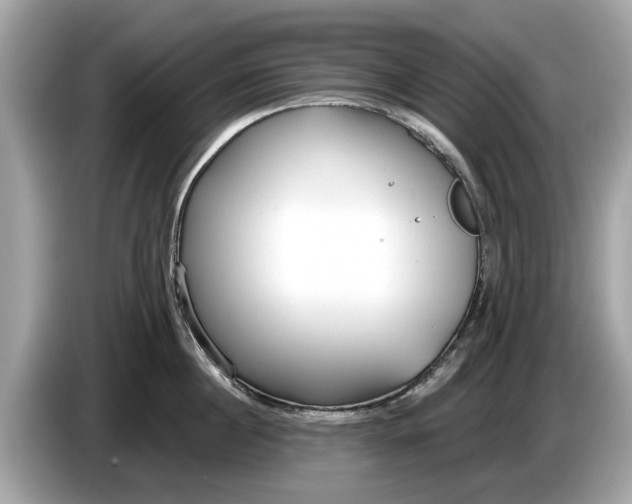 X0000085080860200703191323