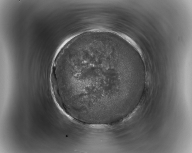 X0000085080863200703191323