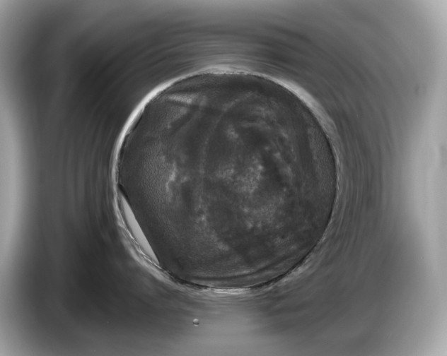 X0000085080864200703191323