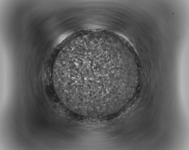 X0000085080871200703191322