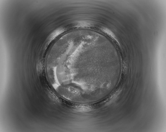 X0000085080874200703191322