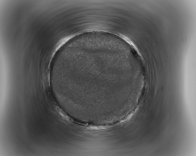 X0000085080877200703191322