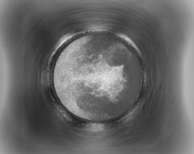 X0000085080878200703191322