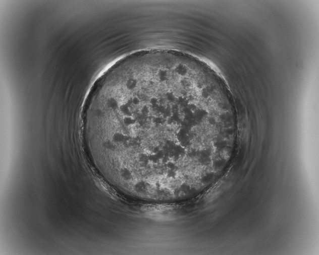 X0000085080879200703191322