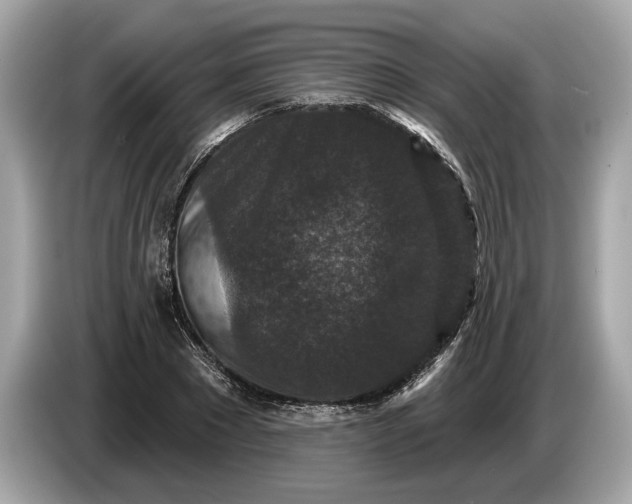 X0000085080881200703191322