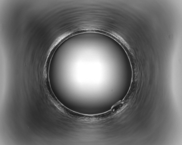 X0000085080885200703191322