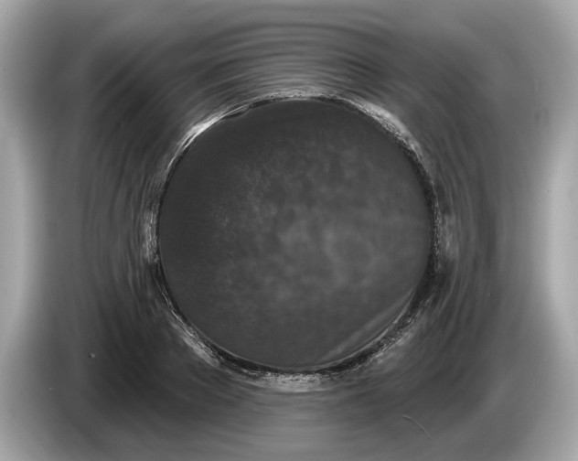 X0000085080889200703191322