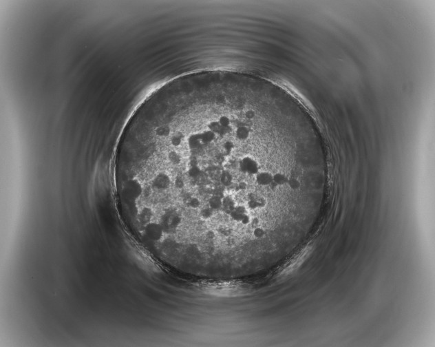 X0000085080891200703191322