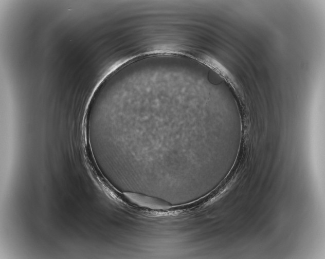 X0000085080892200703191322