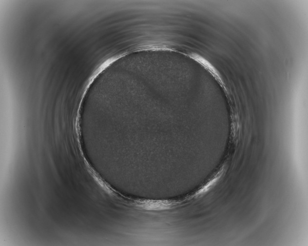 X0000085080893200703191322