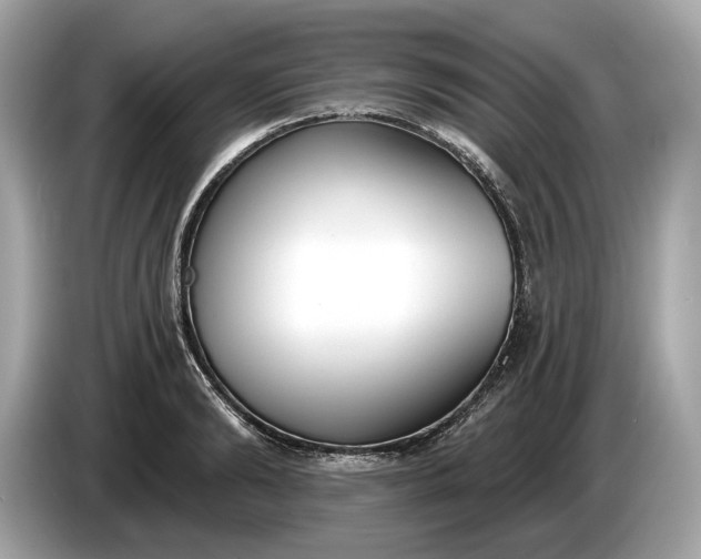 X0000085080894200703191322