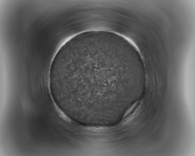 X0000085080895200703191322