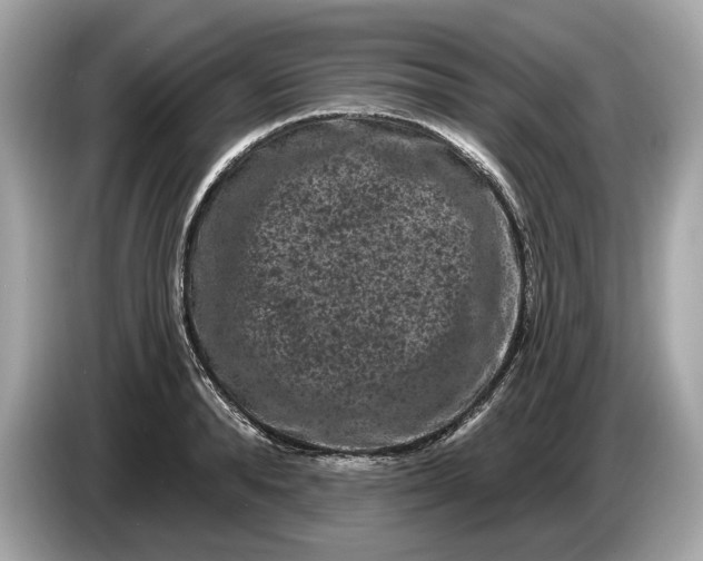 X0000085080896200703191322