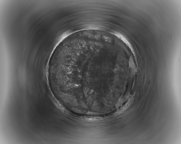 X0000085080899200703191322