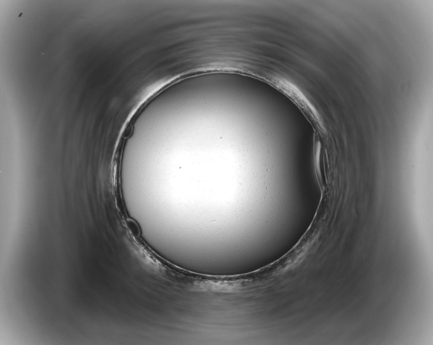 X0000085080900200703191322