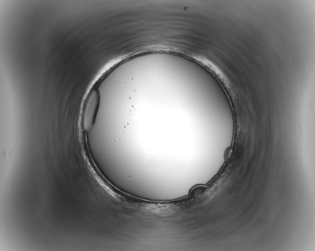 X0000085080902200703191321