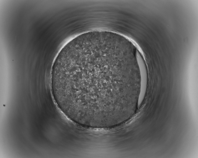 X0000085080903200703191321