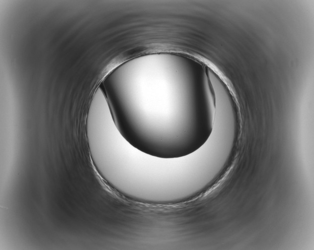 X0000085080905200703191321