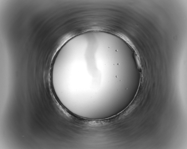 X0000085080906200703191321