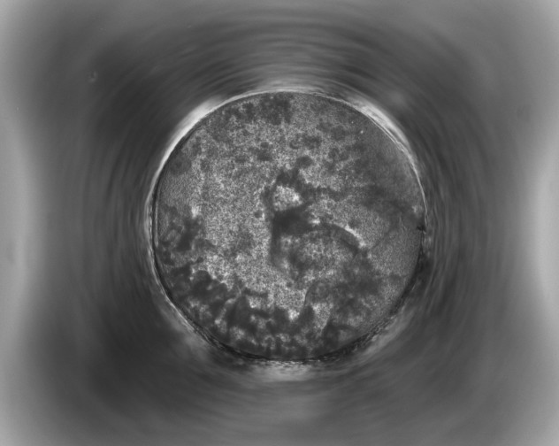 X0000085080907200703191321