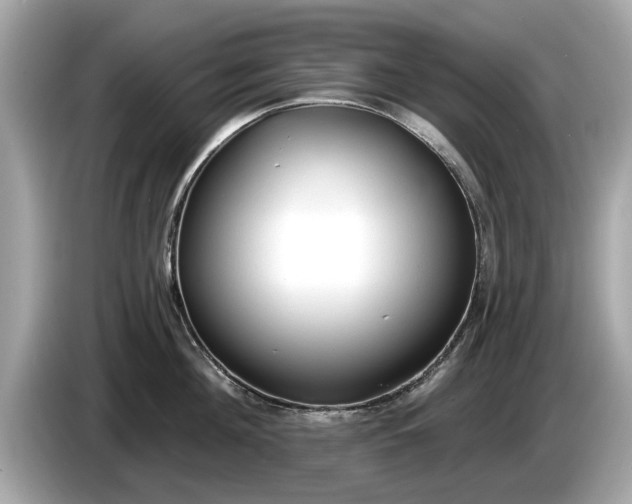 X0000085080908200703191321