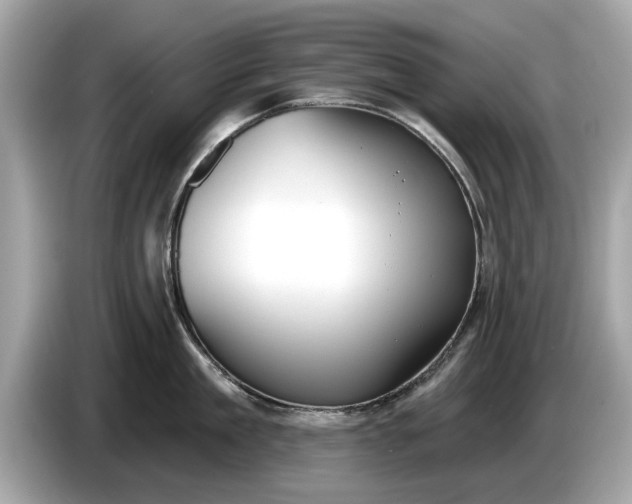 X0000085080909200703191321