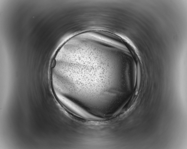 X0000085080910200703191321