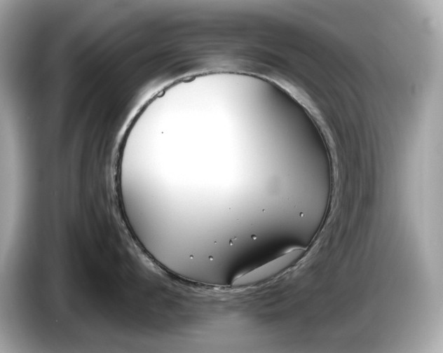 X0000085080912200703191321