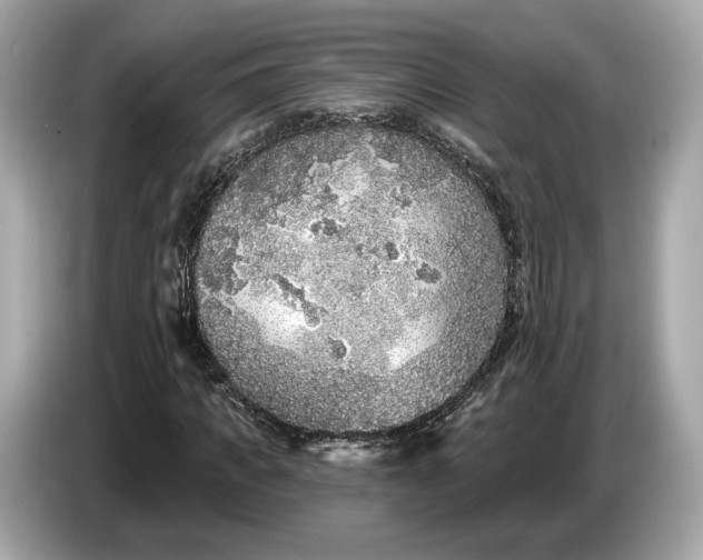 X0000085080917200703191321