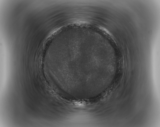 X0000085080919200703191321