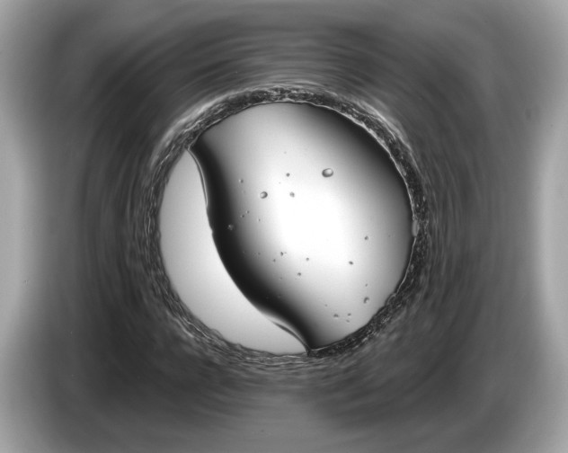 X0000085080920200703191321