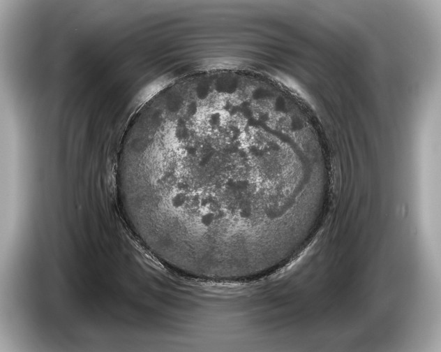 X0000085080921200703191321