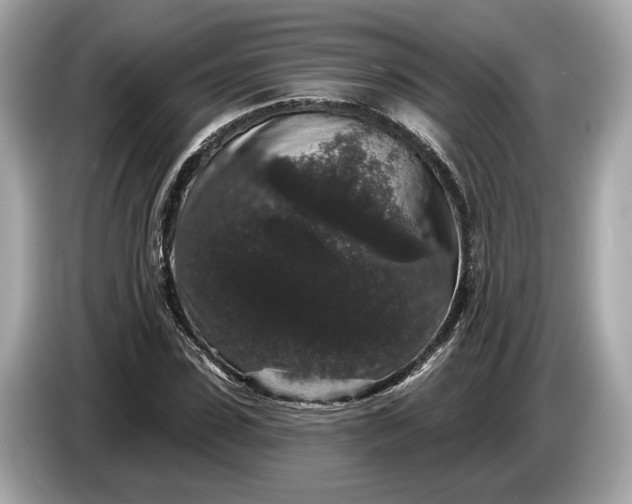 X0000085080923200703191321