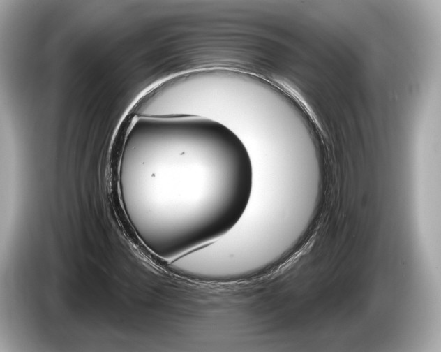 X0000085080924200703191321