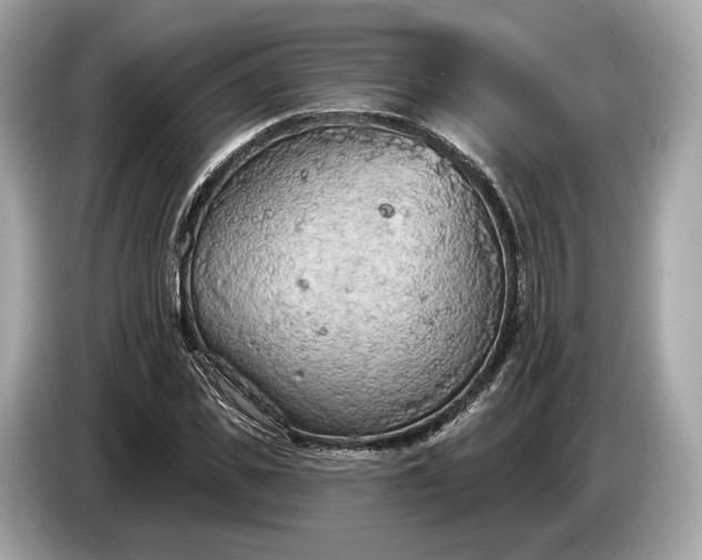 X0000085080925200703191321