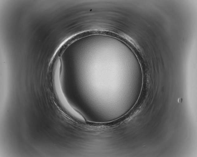 X0000085080926200703191321