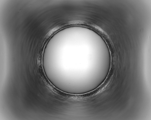 X0000085080929200703191321