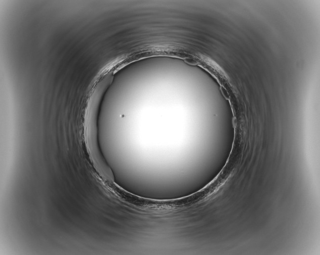 X0000085080930200703191321