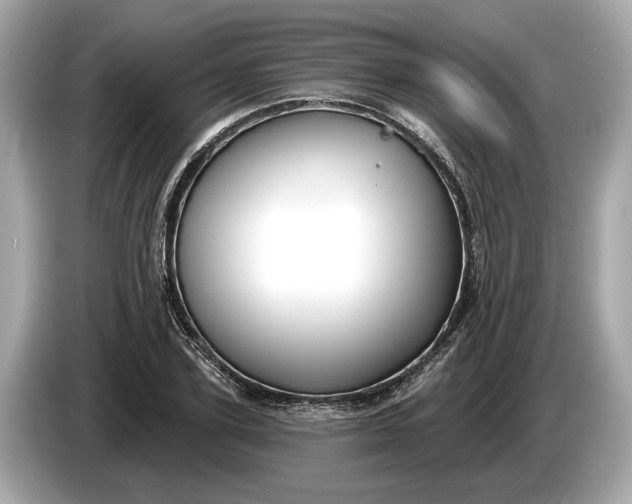 X0000085080931200703191321