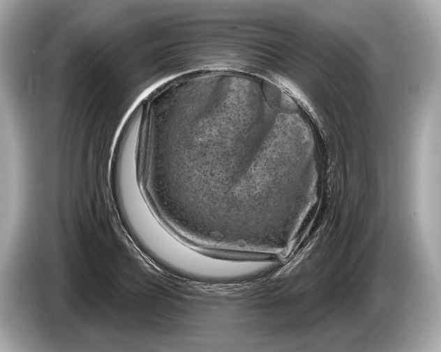 X0000085080932200703191321