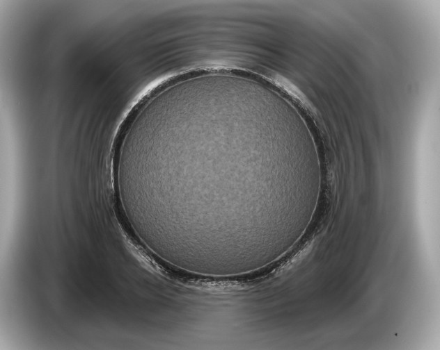 X0000085080934200703191321