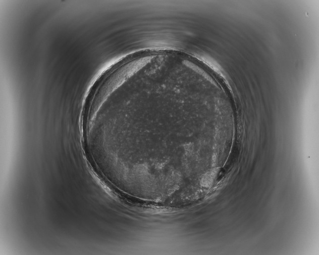 X0000085080935200703191321